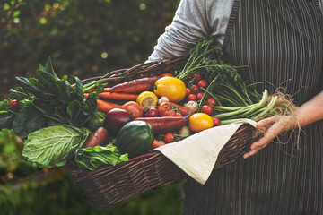 Bountiful harvest of fresh vegetables, including carrots, tomatoes, and leafy greens, beautifully arranged in a woven basket, showcasing vibrant colors and natural produce.