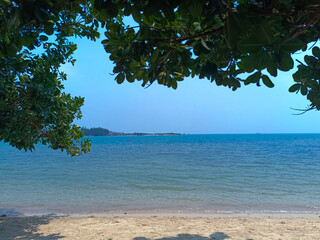 Wall Mural - Green leaves with wonderful view of tropical beach