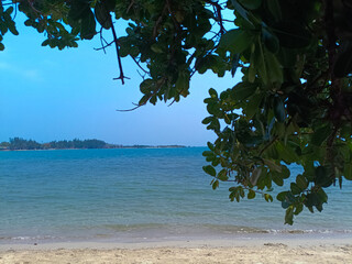 Wall Mural - Green leaves with wonderful view of tropical beach