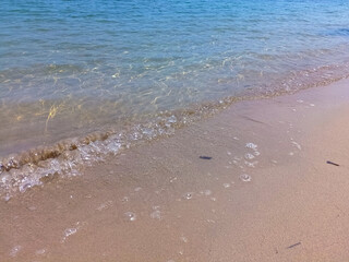 Wall Mural - Soft blue ocean wave on fine sandy beach background