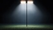 © ryker - Bright floodlights illuminate dark field, creating dramatic atmosphere. scene evokes sense of anticipation and focus, perfect for nighttime sports or events.