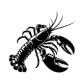 Lobster silhouette, vector black color silhouette