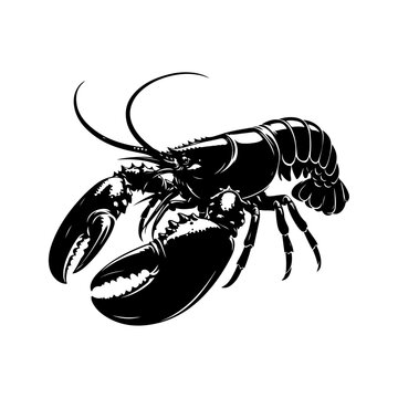 Lobster silhouette, vector black color silhouette