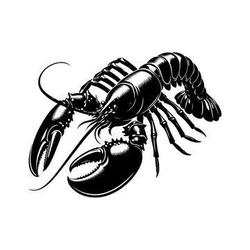 Lobster silhouette, vector black color silhouette