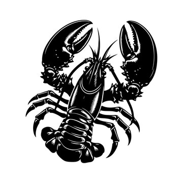 Lobster silhouette, vector black color silhouette