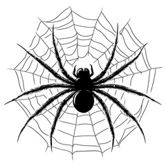 Black and white illustration of a spider in a web.