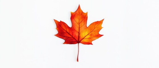 Wall Mural - A vibrant orange maple leaf, symbolizing the beauty of fall, set against a clean white background for a striking visual impact.