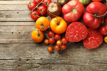 Wall Mural - Different ripe tomatoes on wooden table, top view. Space for text