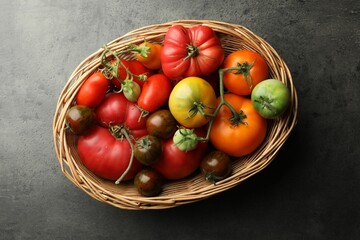 Wall Mural - Different ripe and unripe tomatoes in wicker basket on grey table, top view