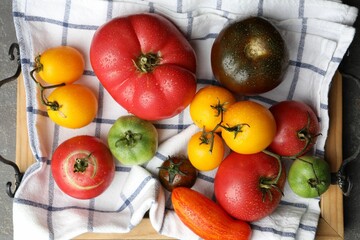 Canvas Print - Different ripe and unripe tomatoes on grey table, flat lay