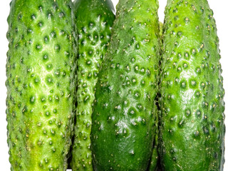 Wall Mural - Pile of cucumbers. Macro cucumbers