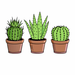 Hand drawn three cactus and aloe in pots illustration on a isolated white background (15)