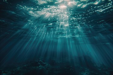 Poster - A sunny day on a peaceful lake or river with warm light shining through the water's surface