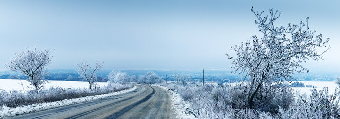 Wall Mural - Winter landscape with snow-covered trees on both sides of the road against a blue sky background