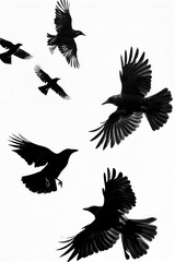 Poster - A group of birds flying through the air