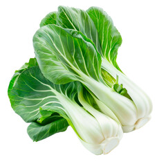 Bok choy or pak choy asian cabbage. Isolated on transparent background.