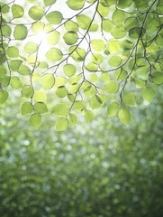 Sticker - A lively ballet of shadows unfolds as sunlight weaves through the leaves, creating a dynamic tapestry of light and dark.