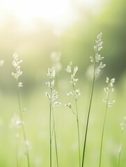 Sticker - The gentle caress of a warm breeze on a summer afternoon evokes a sense of tranquility and joy that lingers in the heart.