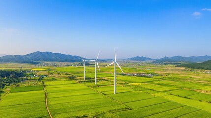 Wind Turbines in a Green Landscape