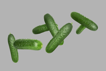 Poster - Whole ripe cucumbers flying on grey background