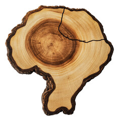 PNG Wooden slice shaped like Africa