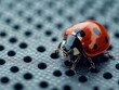 © 2haq - Ladybug isolated on metal background