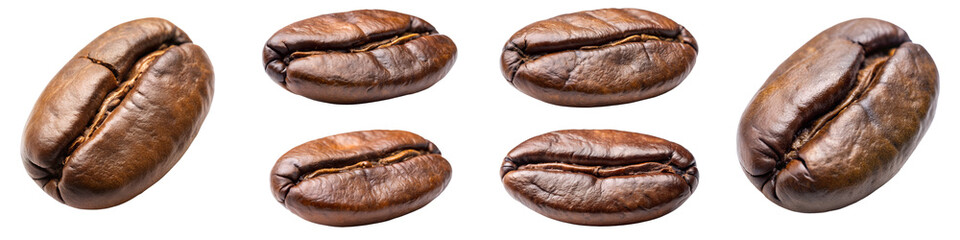 Coffee bean isolated on transparent background PNG file