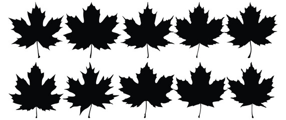 Wall Mural - Leaf silhouette set vector design big pack of foliage illustration and icon