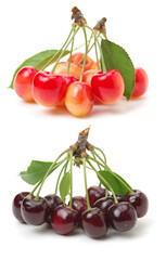 Wall Mural - Cherry isolated on white background