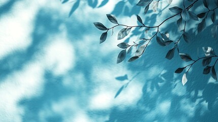 Poster - Minimalistic abstract gentle light blue background for product presentation with light and intricate shadow from tree branches on wall : Generative AI