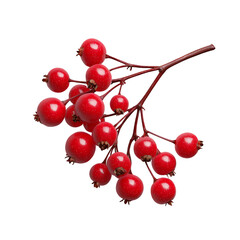 Wall Mural - Fresh red berries on a branch isolated on black background. Ideal for food, nature, and health themes.