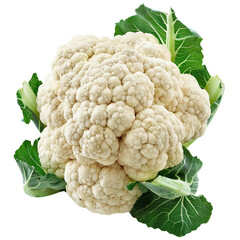 Wall Mural - A head of cauliflower isolated on a transparent background