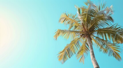 A majestic coconut palm tree swaying gently in the breeze, its fronds reaching towards the clear blue sky.