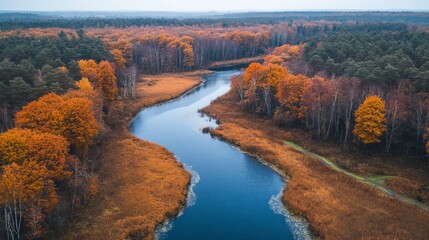 Poster - A river with trees on both sides and a blue sky in the background