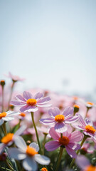 Wall Mural - Closeup of Pink and Yellow Flowers