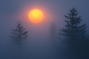 The rising sun as seen through dense fog, with trees appearing ghostly in the background. 