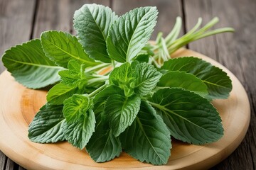 Wall Mural - Lush Green Lovage Leaves: Versatile Herb for Cooking and Garnishing