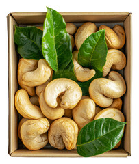 PNG Freshly harvested cashews in a natural box setting