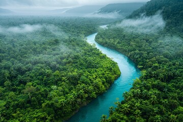 A beautiful river flows through vibrant greenery, surrounded by towering trees and morning fog in a tropical landscape