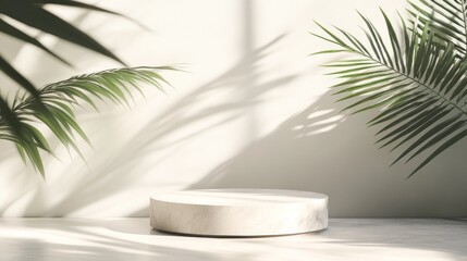 Poster - The scene features a premium empty podium set against a sleek minimalist backdrop, illuminated by soft daylight and casting delicate shadows of tropical foliage
