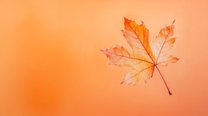 Poster - a single vibrant maple leaf floats gently in the air, set against a soft orange backdrop, symbolizin