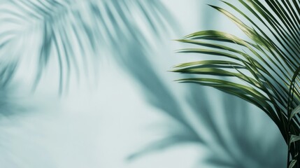Poster - soft palm leaf shadows create a serene atmosphere against a gentle abstract background, highlighting