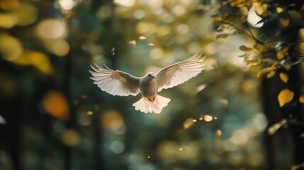 Poster - Detailed shot of a bird flying through a forest, with trees and leaves creating a natural backdrop