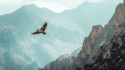 Poster - Detailed view of a bird gliding close to a mountain range, with clear focus on the bird and rugged landscape