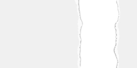 Wall Mural - Piece of an oblong sheet of paper torn from top to bottom. White background.