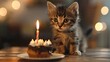 © Boraryn - A cute kitten curiously gazes at a birthday cake with a candle, creating a festive atmosphere.