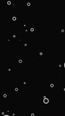 Poster - Randomly flying air bubbles on a black background. Design. Rising up ring silhouettes.