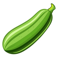 zucchini vector, illustration of zucchini isolated on white background