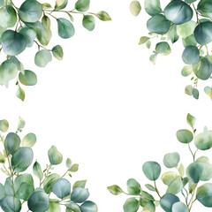 Wall Mural - Watercolor Eucalyptus Leaves Frame Isolated on White
