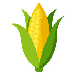 Wall Mural - corn vector, illustration of corn isolated on white background